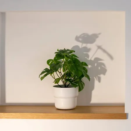 Casa Mirelli By Dimorra * Naples