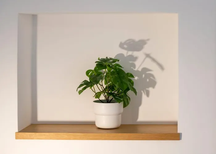 Casa Mirelli By Dimorra * 나폴리